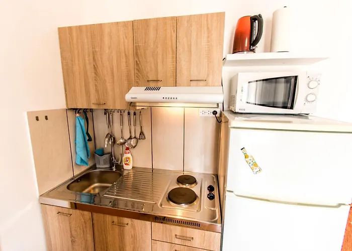 Curic Appartement *